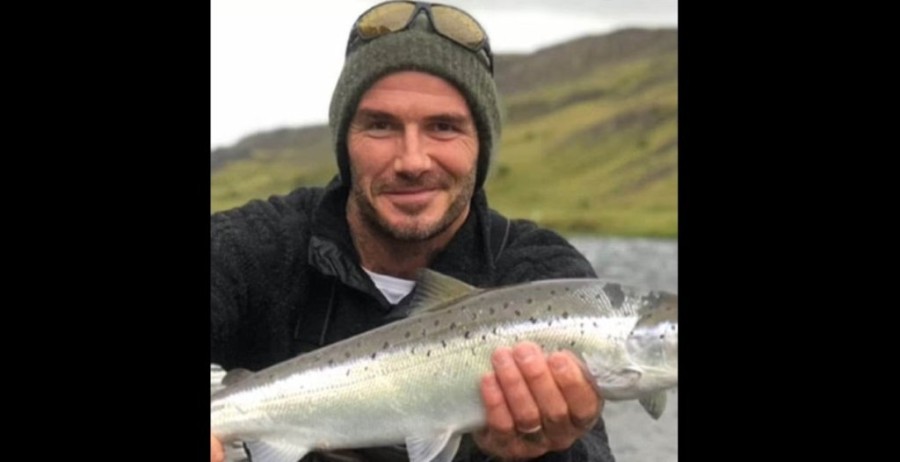 beckham_salmon.jpg