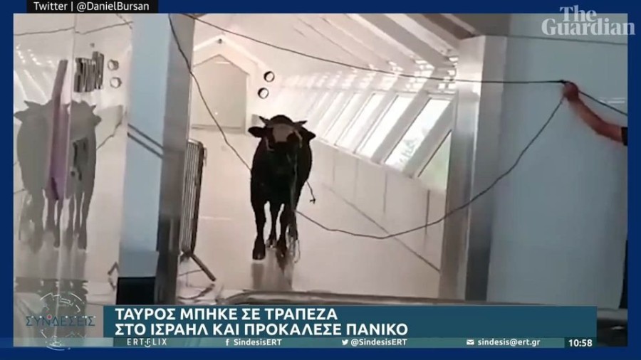 profile player-960x540.JPG