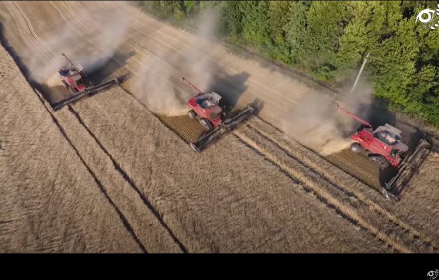 Χωρίς τίτλο.png