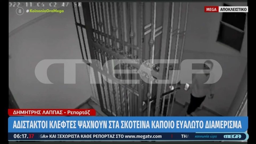 profile player-960x540.JPG