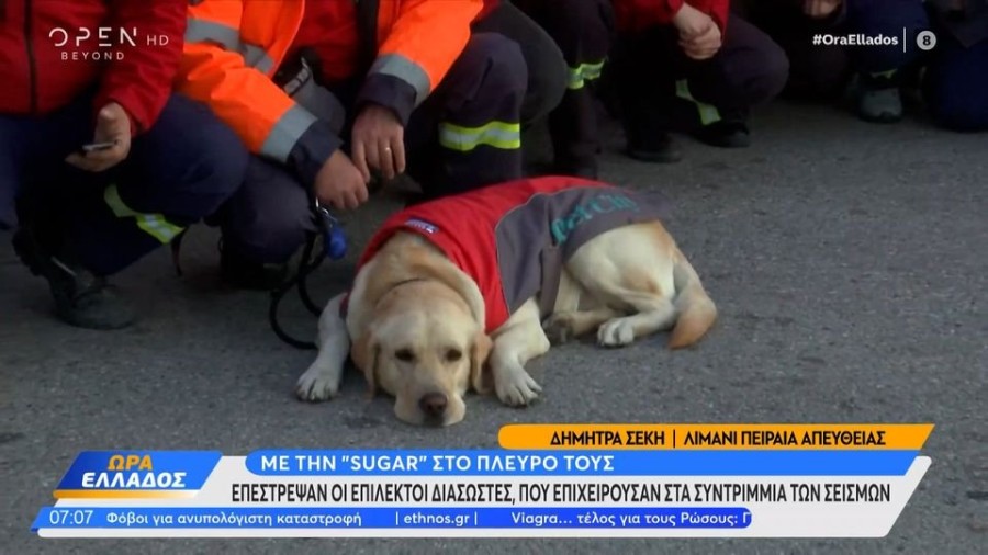 profile player-960x540.JPG