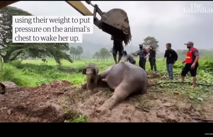 Χωρίς τίτλο.png