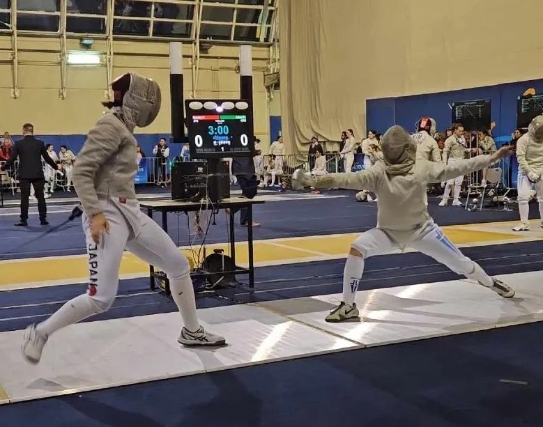 fencing-geniki1.jpg