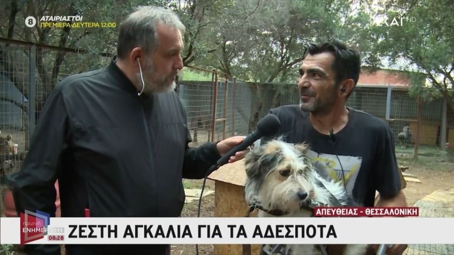 profile player-960x540.JPG