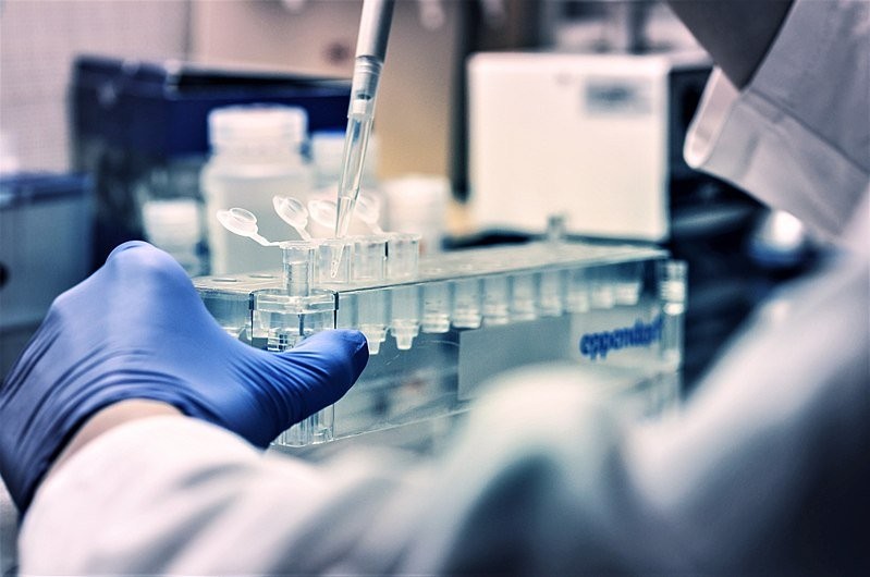800px-Behind_the_lab_work.jpg