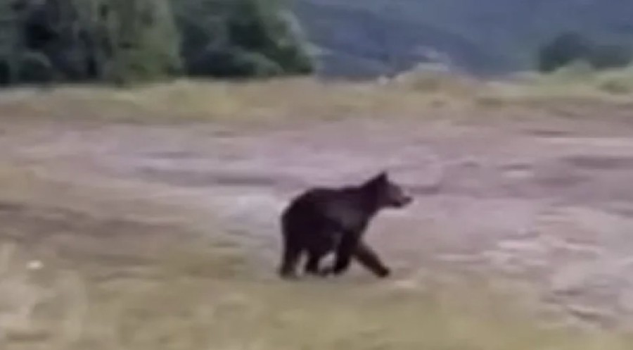 Στιγμιότυπο 2023-06-04, 6.18.45 μμ.png