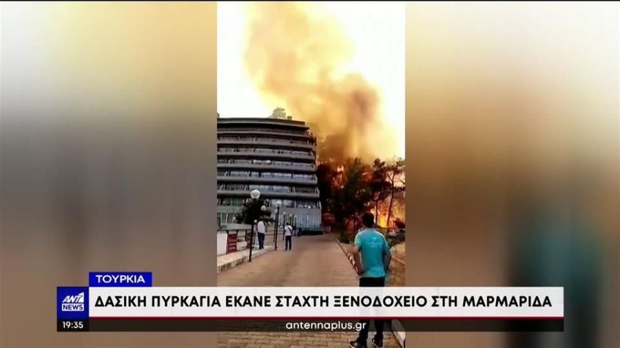 profile player-960x540.JPG