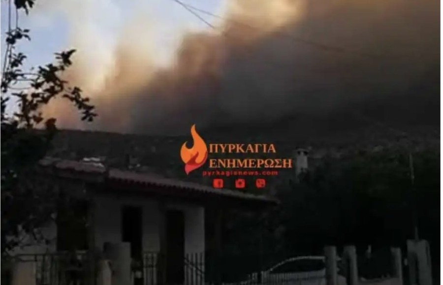 Στιγμιότυπο 2023-08-21, 10.40.29 πμ.png