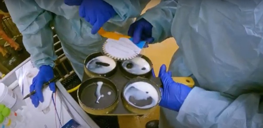 Χωρίς τίτλο.png