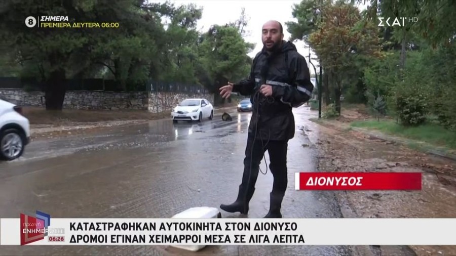 profile player-960x540.JPG