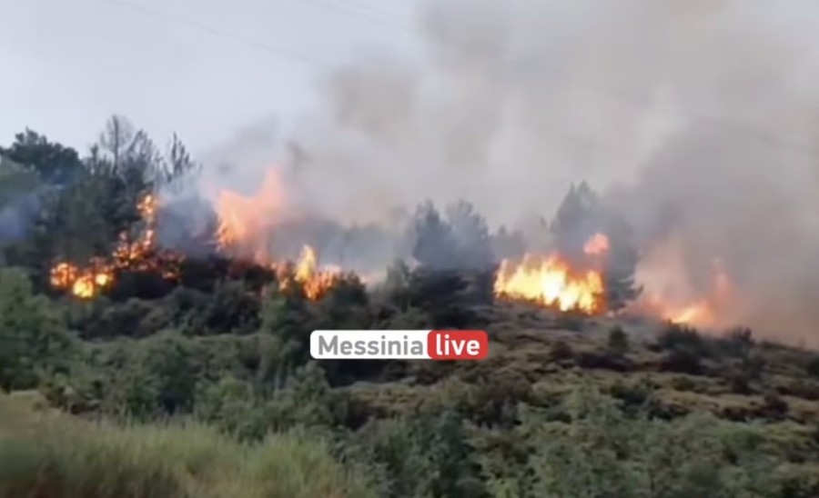 Στιγμιότυπο 2023-08-26, 7.04.41 μμ.png