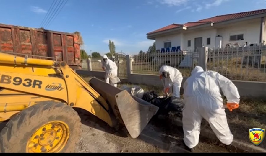 Χωρίς τίτλο.png