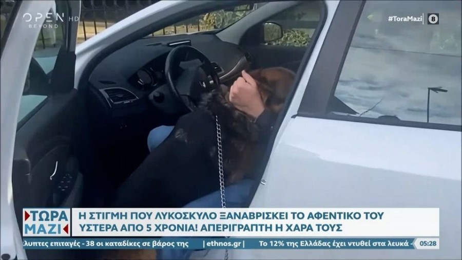 profile player-960x540.JPG