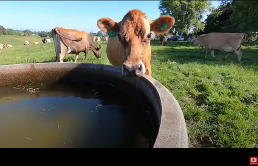 Χωρίς τίτλο.png