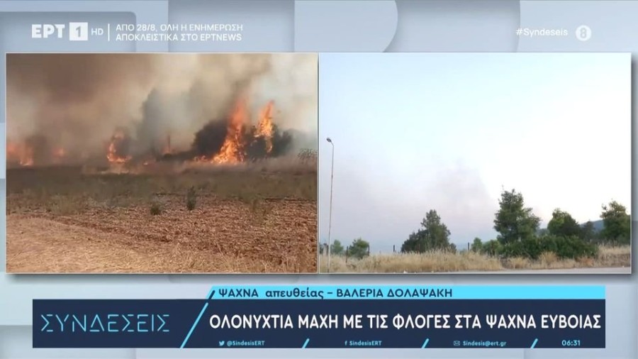 profile player-960x540.JPG