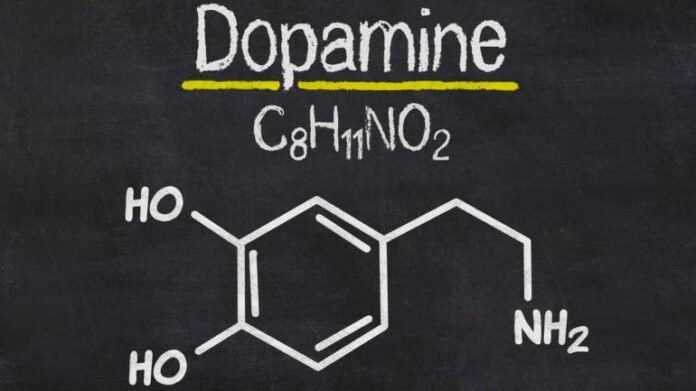 dopamine-770x433-1-696x391.jpg