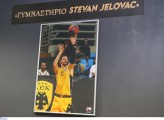 gym stevan jelovac.jpg gym stevan jelovac.jpg