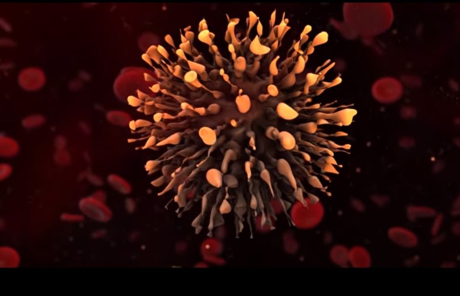 Χωρίς τίτλο.png