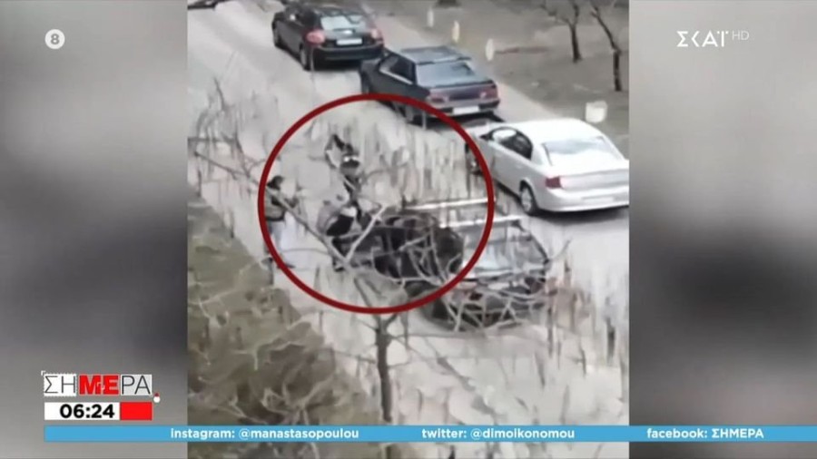 profile player-960x540.jpg