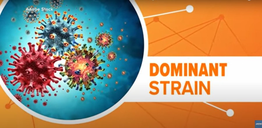 Χωρίς τίτλο.png