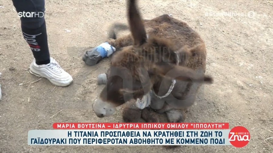 profile player-960x540.JPG