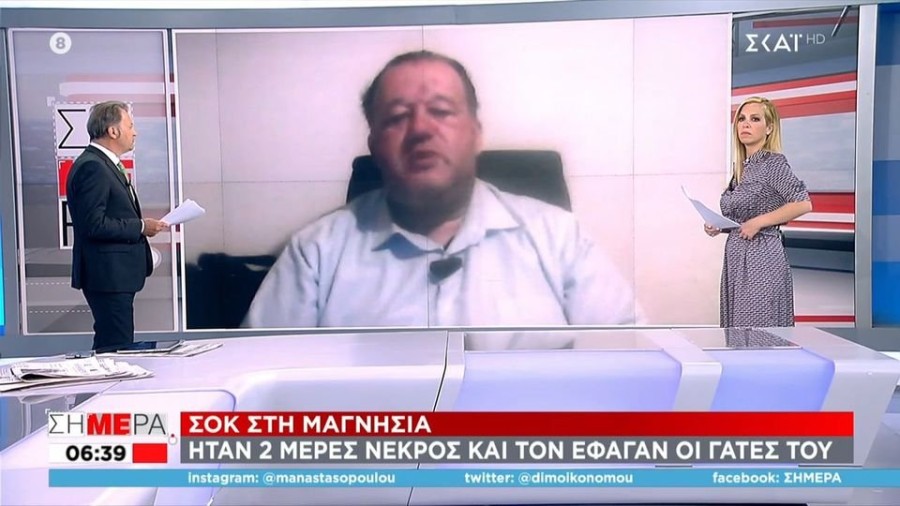 profile player-960x540.JPG