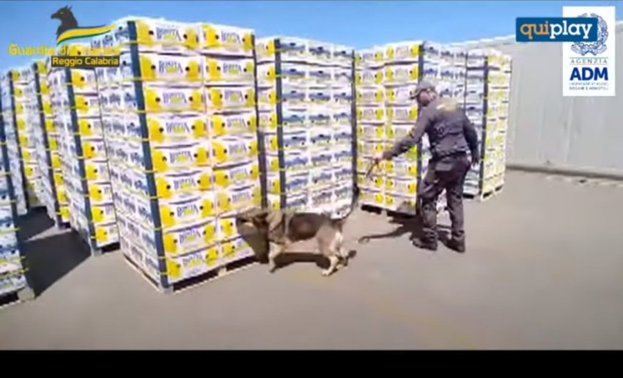 Χωρίς τίτλο.png