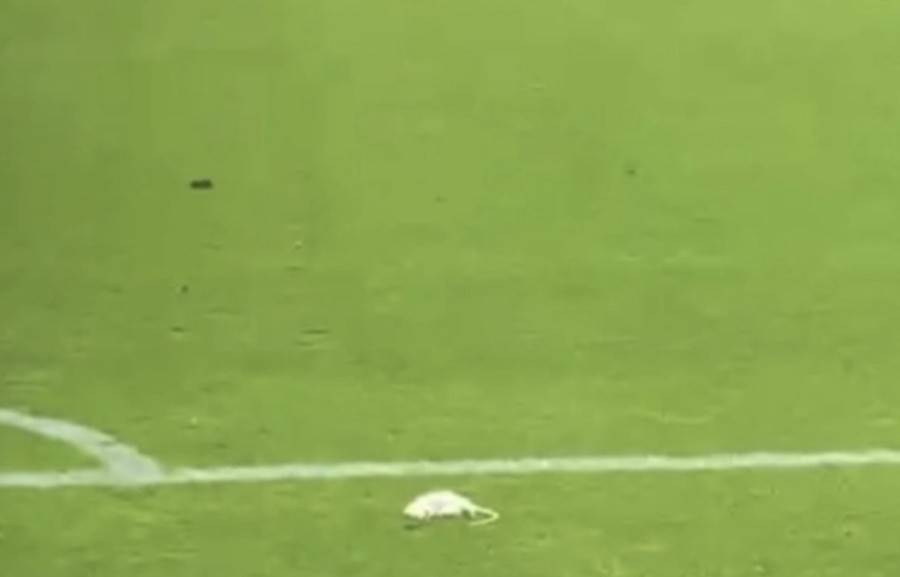 Στιγμιότυπο 2023-09-26, 1.01.54 μμ.png