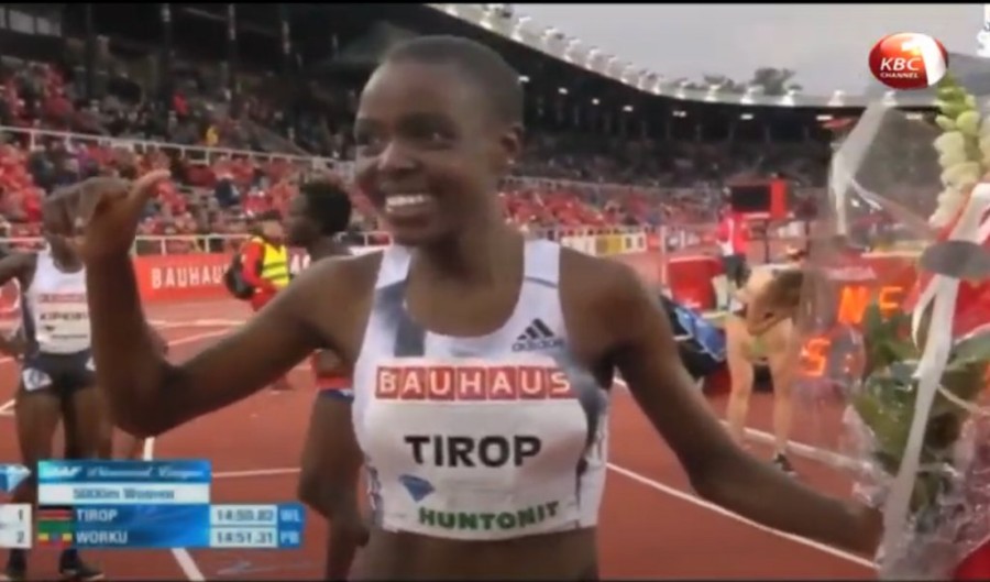 Χωρίς τίτλο.png