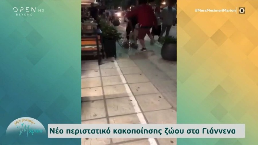 profile player-960x540.JPG