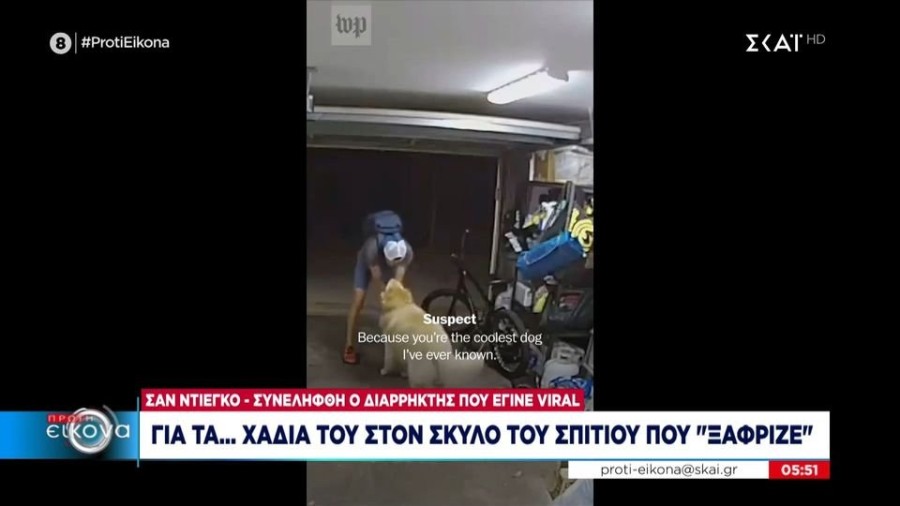 profile player-960x540.JPG