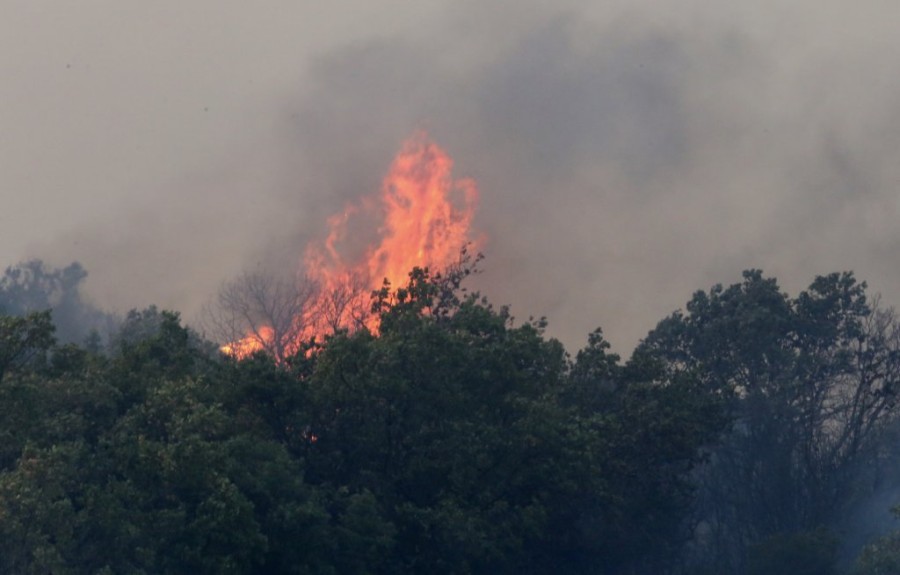 Στιγμιότυπο 2023-08-21, 11.23.35 πμ.png
