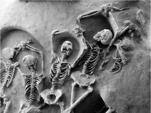 1-theremainsof (1).jpg