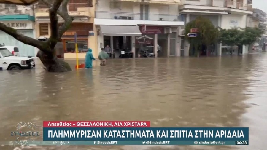 profile player-960x540.JPG