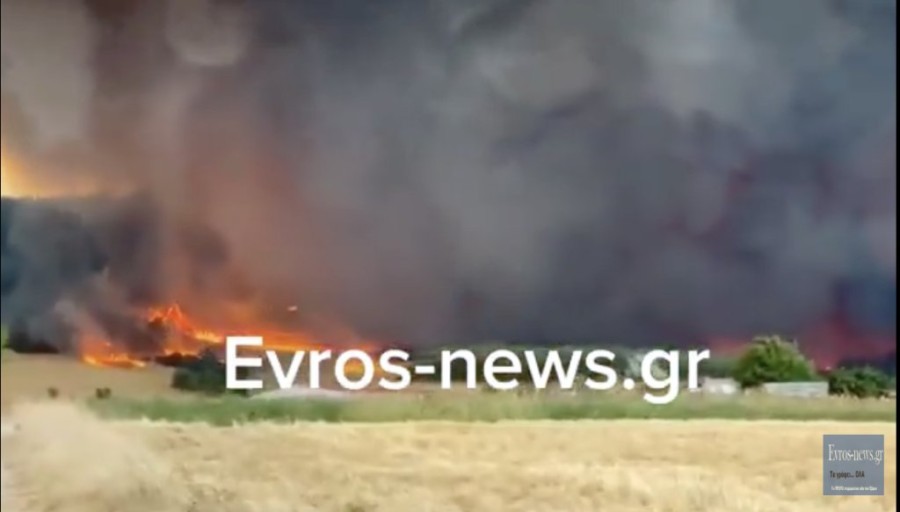 Στιγμιότυπο 2023-08-19, 5.42.50 μμ.png