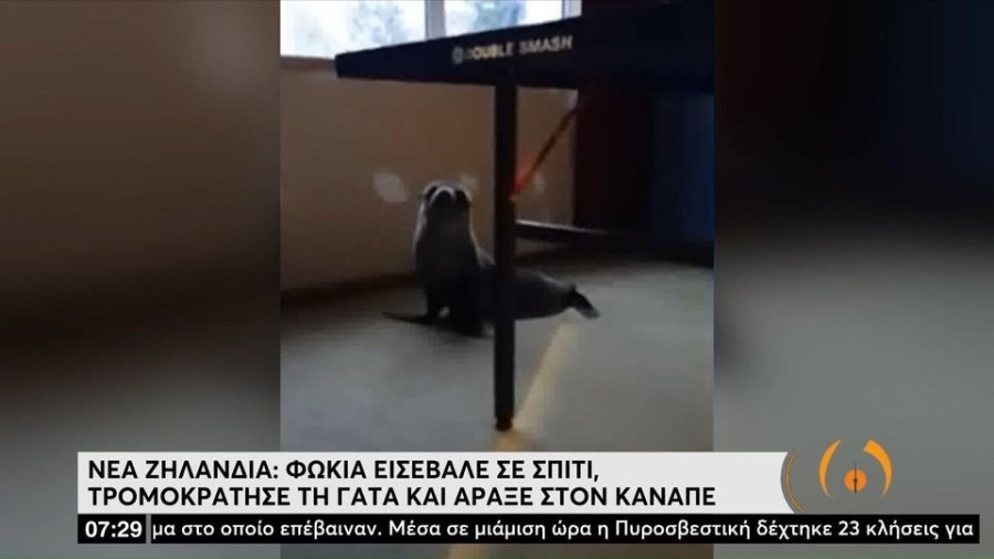 profile player-960x540.jpg