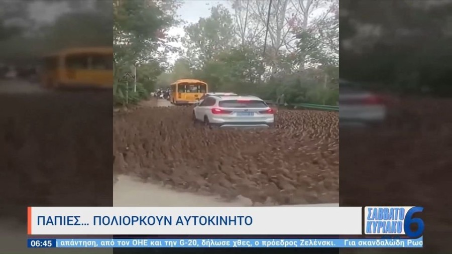 profile player-960x540.jpg