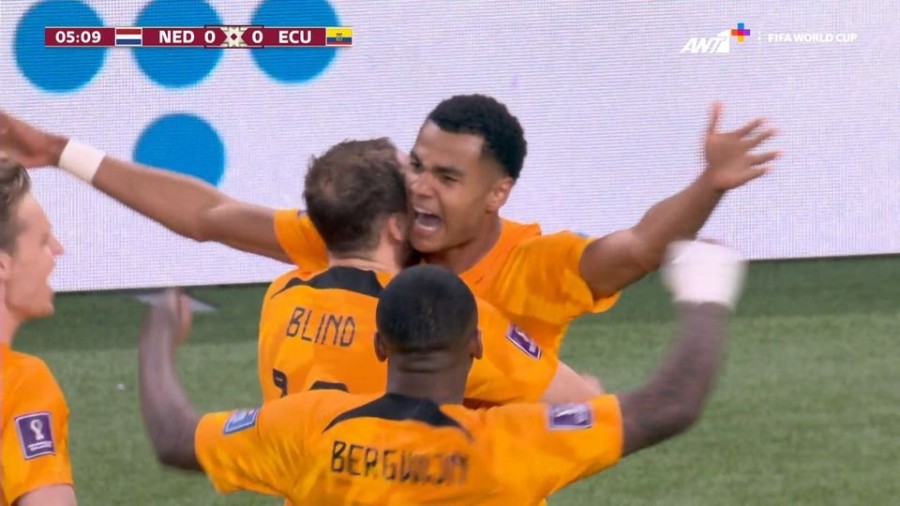 profile player-960x540.jpg