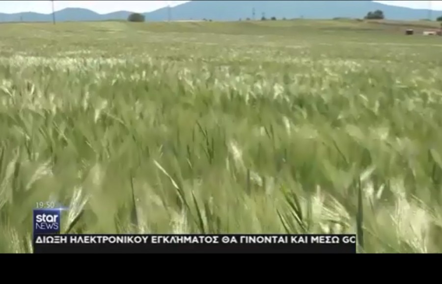 Χωρίς τίτλο.png