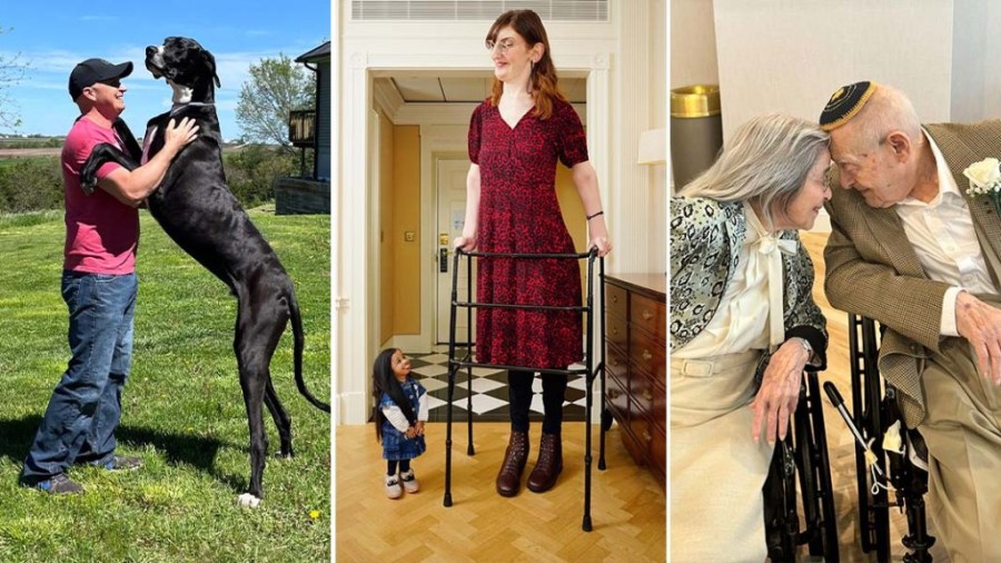 bestof24-split-header (1).jpg