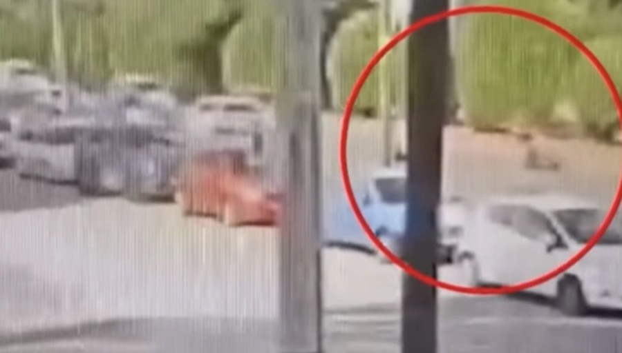 Στιγμιότυπο 2023-06-01, 5.18.06 μμ.png