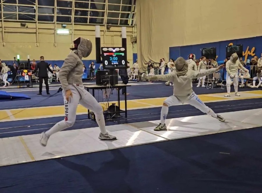 fencing-geniki1.jpg