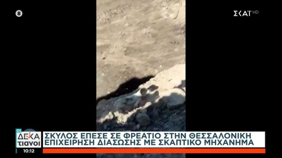 profile player-960x540.JPG