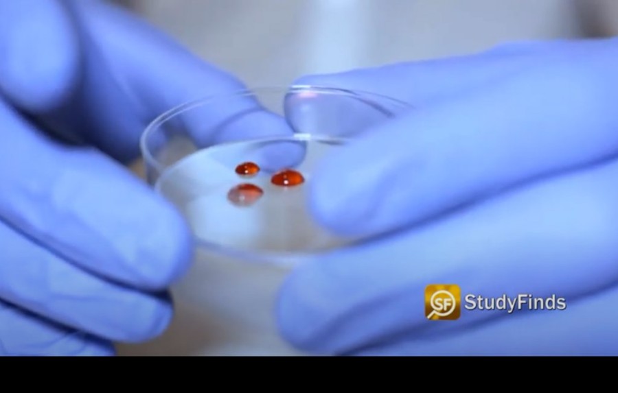 Χωρίς τίτλο.png