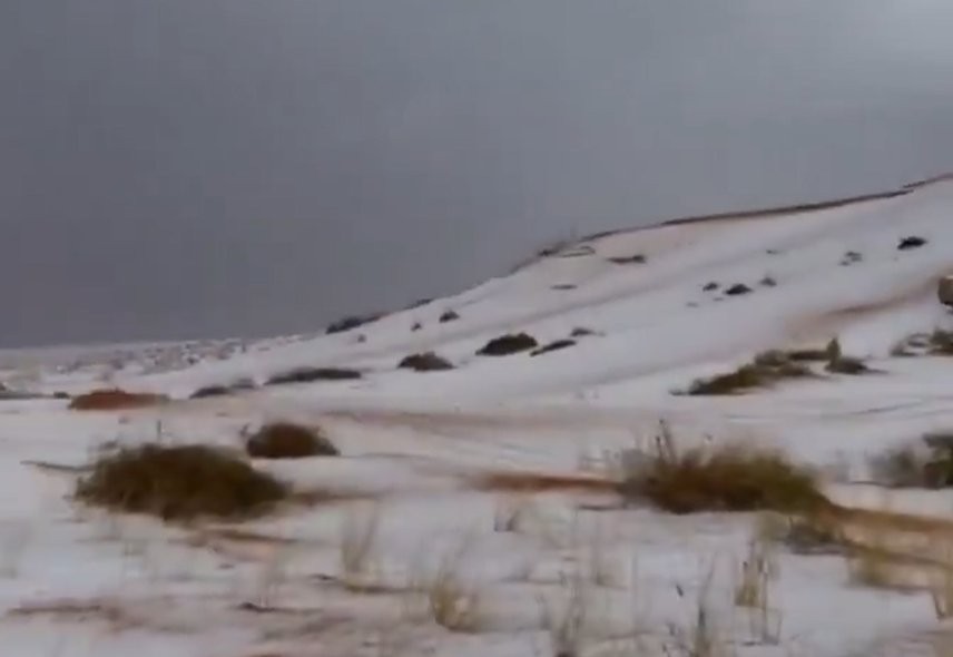 Στιγμιότυπο οθόνης 2024-11-08 224723.png