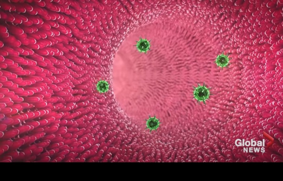 Χωρίς τίτλο.png