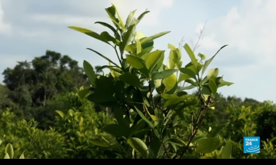 Χωρίς τίτλο.png