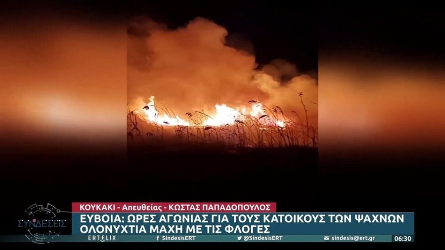 profile player-960x540.JPG