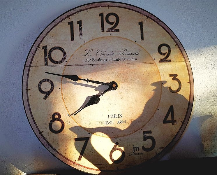Wall_clock_in_morning_time.jpg