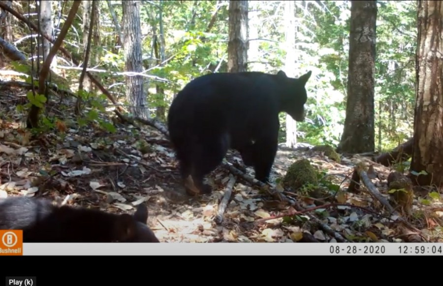 Χωρίς τίτλο.png